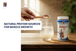 Natural Protein Sources for Muscle Growth – Build Strength the Healthy Way