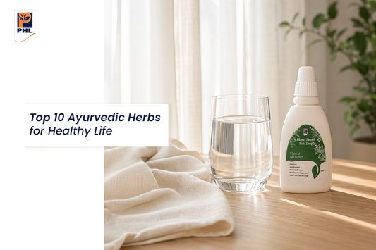 Top 10 Ayurvedic Herbs for a Healthy Life